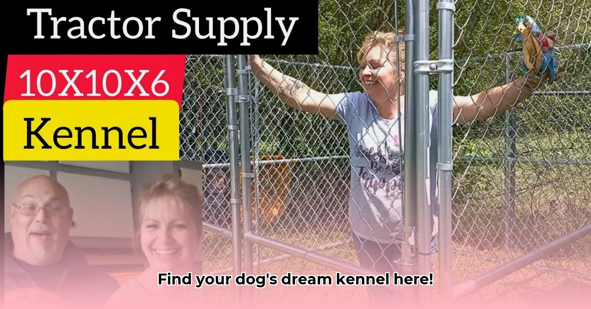 10-x-10-dog-kennel-tractor-supply